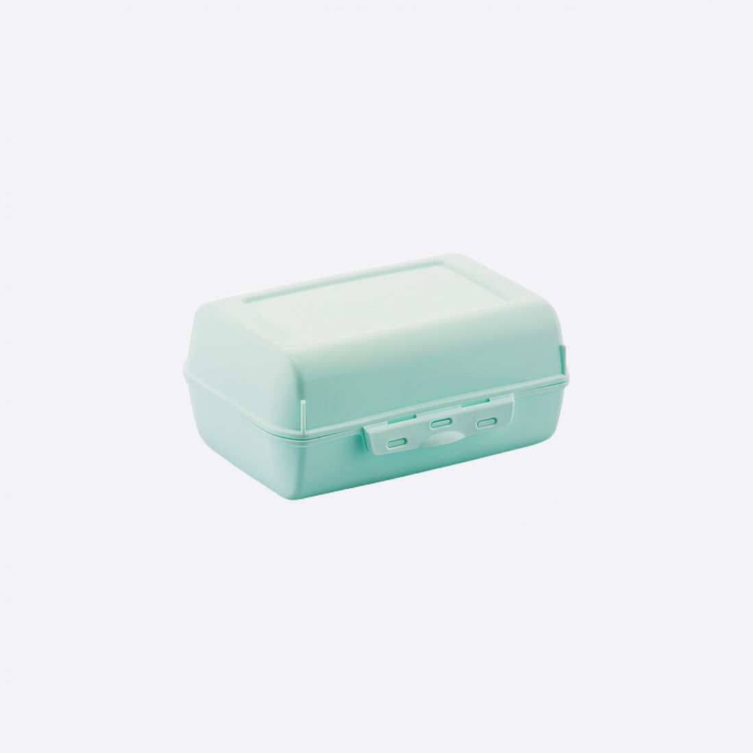 Large Lunch Box