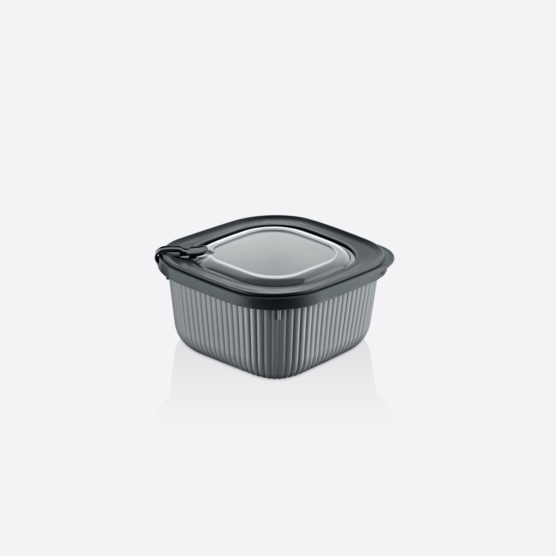 1100 ml MicroLine Saklama Kabı